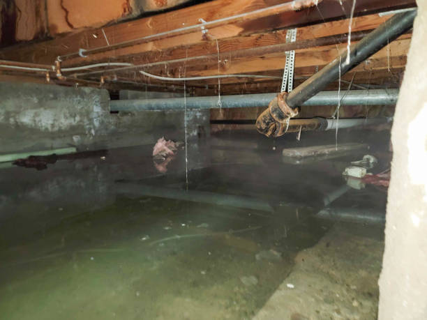 Best Basement water damage restoration  in Corning, NY