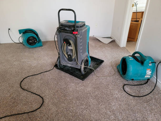 Best Water damage cleanup near me  in Corning, NY