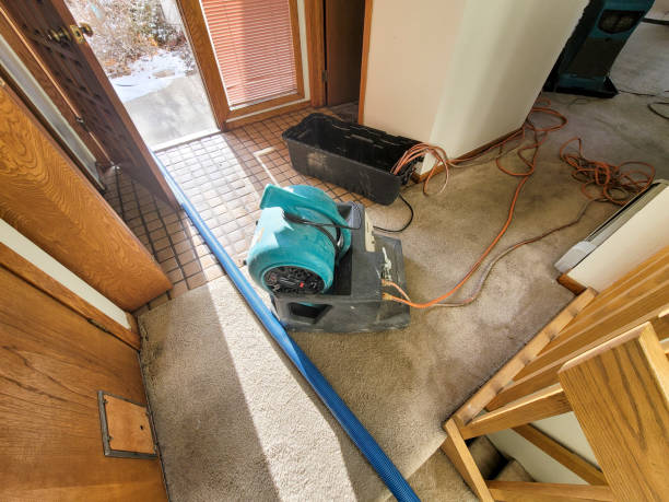 Best Mold removal after water damage  in Corning, NY